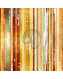 Colour Bar  Computer Printed Photography Backdrop ZJZ-307