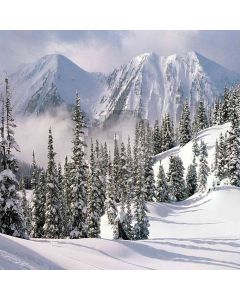 Snow Wonderland Computer Printed Photography Backdrop ZJZ-316