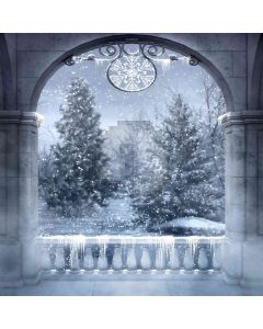 Winter Computer Printed Photography Backdrop ZJZ-322