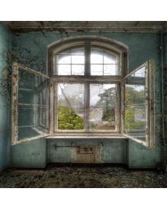 Relic Room Computer Printed Photography Backdrop ZJZ-335