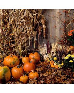 Harvest Season  Computer Printed Photography Backdrop ZJZ-344