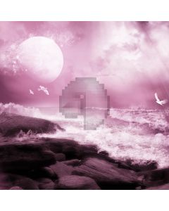 Waves reef seagulls Computer Printed Photography Backdrop ZJZ-349