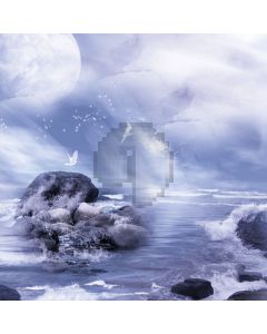 Waves reef seagulls Computer Printed Photography Backdrop ZJZ-351
