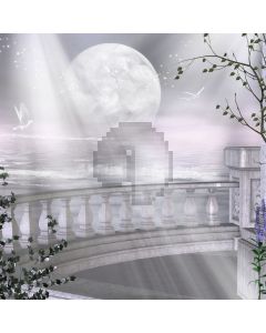 Sunlight seagulls stone fence Computer Printed Photography Backdrop ZJZ-354
