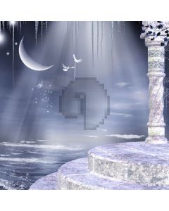 Moon seabirds pillar Computer Printed Photography Backdrop ZJZ-356