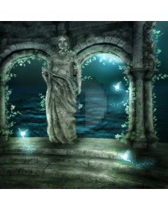 Statue arched doorway sea Computer Printed Photography Backdrop ZJZ-358