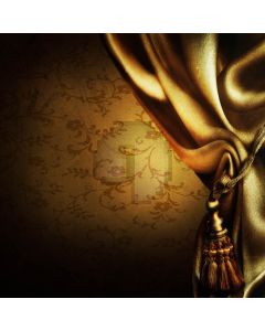 High Class Color  Computer Printed Photography Backdrop ZJZ-366