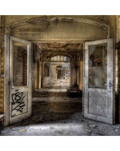 Relic Hall Computer Printed Photography Backdrop ZJZ-367