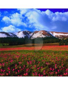 Flowers Under The Mountain Computer Printed Photography Backdrop ZJZ-380