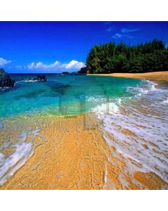 Great View Beach Computer Printed Photography Backdrop ZJZ-389