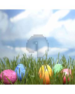 Eggs In The Grass Computer Printed Photography Backdrop ZJZ-398