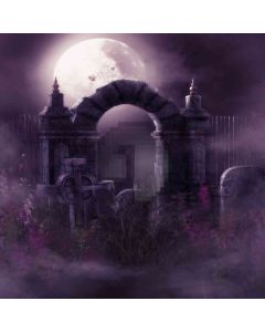 Haunted Grave Computer Printed Photography Backdrop ZJZ-416