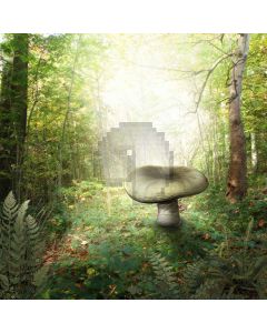 Outstanding Mushroom  Computer Printed Photography Backdrop ZJZ-424