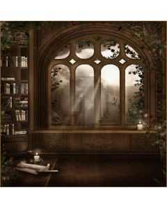 Relic Room Computer Printed Photography Backdrop ZJZ-427