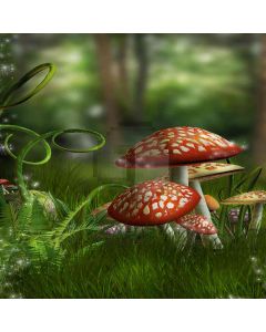 Poison Mushroom Computer Printed Photography Backdrop ZJZ-437