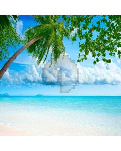 Blue Ocean Computer Printed Photography Backdrop ZJZ-440