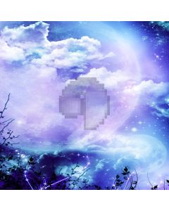 Night Sky  Computer Printed Photography Backdrop ZJZ-451