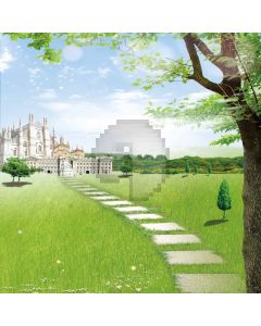 Stone Step To The Castle Computer Printed Photography Backdrop ZJZ-464