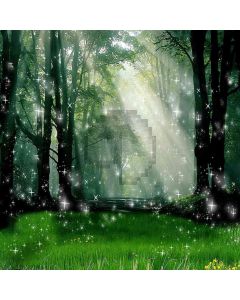 Magic Forest Computer Printed Photography Backdrop ZJZ-477