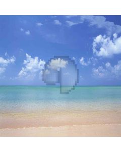 Peaceful Beach Computer Printed Photography Backdrop ZJZ-499