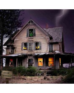 Haunted House Computer Printed Photography Backdrop ZJZ-504