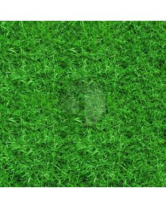 Vibrant beautiful grass Computer Printed Photography Backdrop ZJZ-526