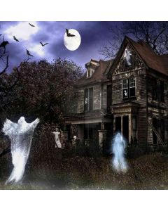 Haunted House Computer Printed Photography Backdrop ZJZ-536