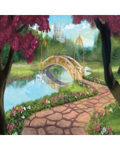 Cartoon World Computer Printed Photography Backdrop ZJZ-545
