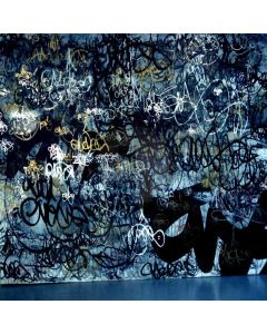 Dark Scrawled Wall Computer Printed Photography Backdrop ZJZ-548