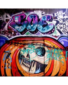 Scrawled Wall Computer Printed Photography Backdrop ZJZ-550