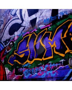 Scrawled Wall Computer Printed Photography Backdrop ZJZ-551