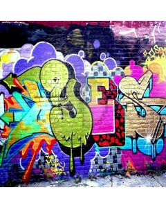 Scrawled Wall Computer Printed Photography Backdrop ZJZ-553
