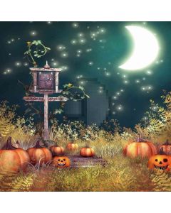 Wacky Pumpkin  Computer Printed Photography Backdrop ZJZ-555