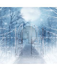 Pathway Under Snow Computer Printed Photography Backdrop ZJZ-557
