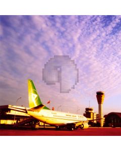 Landing commercial aircraft Computer Printed Photography Backdrop ZJZ-561