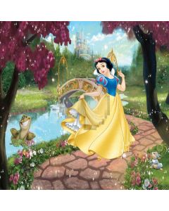 Princess Computer Printed Photography Backdrop ZJZ-564