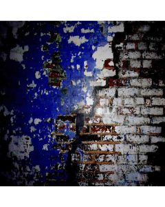 Peeling Wall Computer Printed Photography Backdrop ZJZ-571
