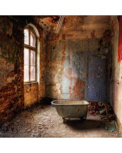 Relic Room Computer Printed Photography Backdrop ZJZ-572
