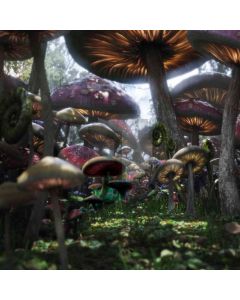Giant Mushrooms Computer Printed Photography Backdrop ZJZ-586