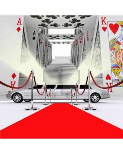 Poker World Computer Printed Photography Backdrop ZJZ-588
