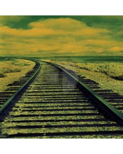 Endless Trail Computer Printed Photography Backdrop ZJZ-612