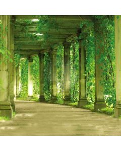 Green Tunnel Computer Printed Photography Backdrop ZJZ-641