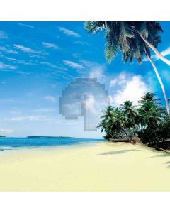Palm Trees And Beach Computer Printed Photography Backdrop ZJZ-643