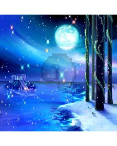 Moonlight  Computer Printed Photography Backdrop ZJZ-649