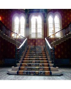Stairs In The Hall Computer Printed Photography Backdrop ZJZ-670