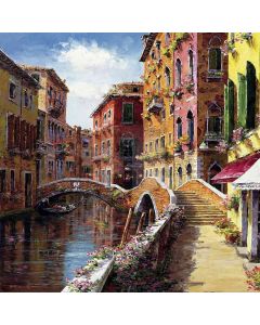 Venice Street Computer Printed Photography Backdrop ZJZ-679