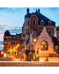 Europe Street Computer Printed Photography Backdrop ZJZ-684