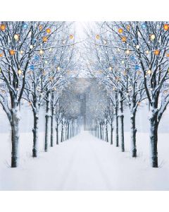 Avenue In Winter Computer Printed Photography Backdrop ZJZ-687