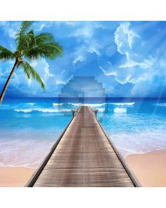 Beach Walk Computer Printed Photography Backdrop ZJZ-693