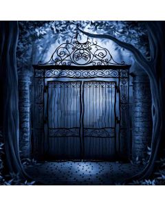 Iron Door  Computer Printed Photography Backdrop ZJZ-704